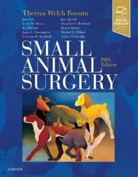 Small Animal Surgery by Theresa Welch Fossum