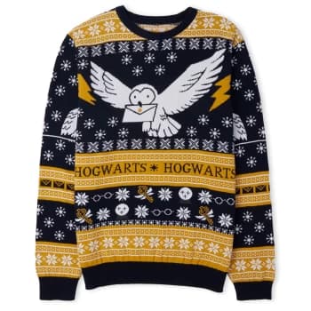 Harry Potter Owl Mail Festive Knitted Jumper - Navy - L