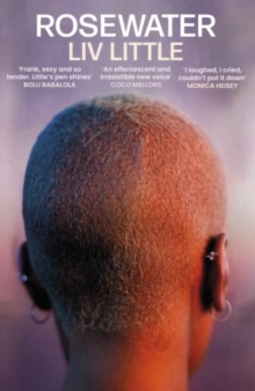 Rosewater. Hardback. By Liv Little Books