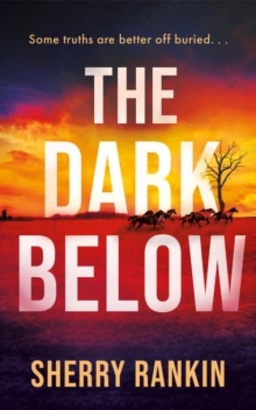 The Dark Below Paperback / softback