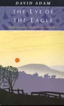 The Eye of the Eagle by David Adam Paperback