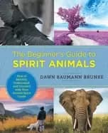 beginners guide to spirit animals how to identify understand and connect w