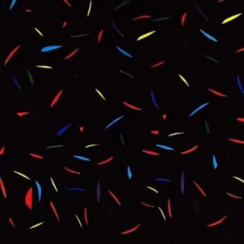 Trash Kit - Horizon CD