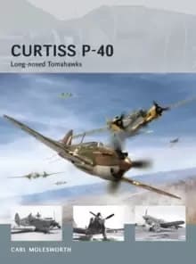 Curtiss P-40 : Long-nosed Tomahawks