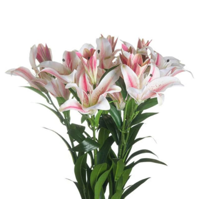 Hill Interiors Stargazer Lily Artificial Flower (Pack Of 1) White/pink (One Size)