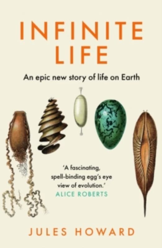 Infinite Life : An Epic New Story of Life On Earth Paperback / softback