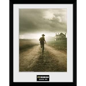 The Walking Dead Season 2 Framed Collector Print 12x16