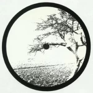 Open Door by Losoul Vinyl Album