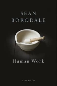Human Work by Sean Borodale Paperback