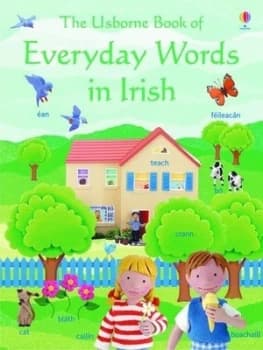 The Usborne Book of Everyday Words in Irish by Jo Litchfield and Rebecca Treays and Kate Needham and Laure Delrue-Vandenbulcke Paperback