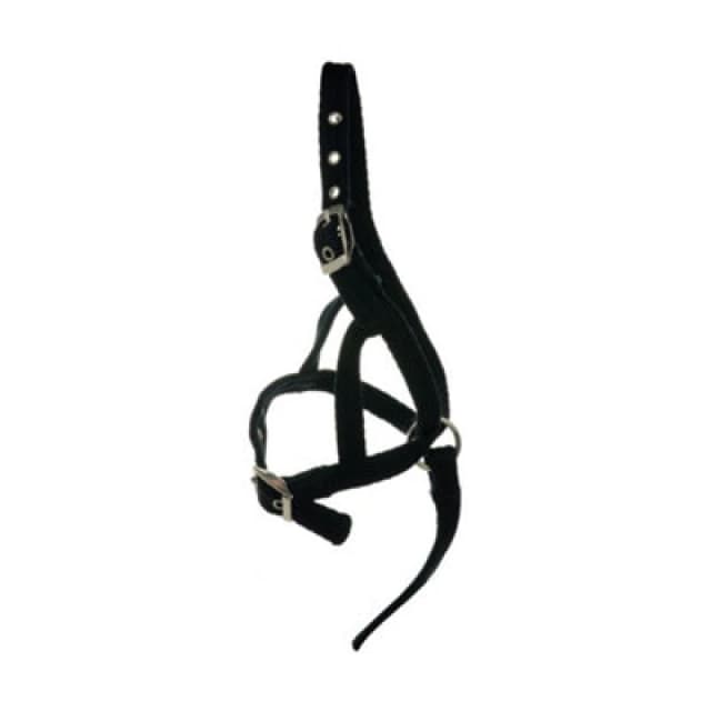 Hy Foal Slip Halter Black (One Size)