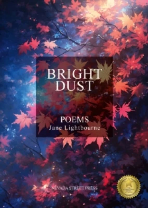 Bright Dust Paperback / softback
