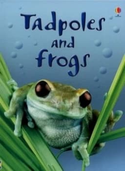 Tadpoles and Frogs by Anna Milbourne and Patrizia Donaera and Zo Wray and Christopher Mattison and Alison Kelly Hardback