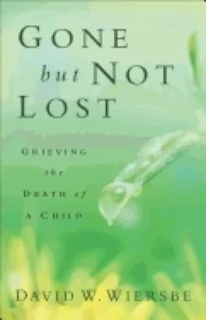 gone but not lost rev and updated ed grieving the death of a child