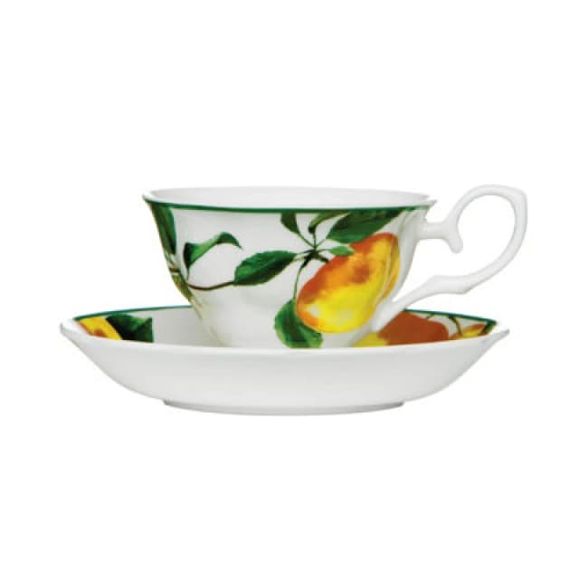 Premier Housewares Orchard Fruits Apple Orchard Cup And Saucer Multi