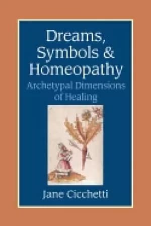 dreams symbols and homeopathy archetypal dimensions of healing