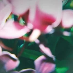 You Make Everything Disappear by Trade Wind CD Album