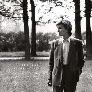 David Sylvian - Brilliant Trees Vinyl
