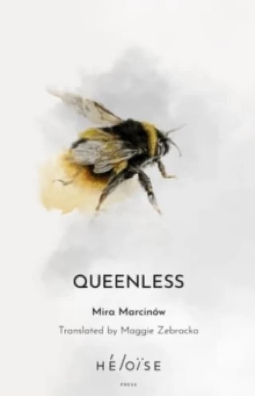 QUEENLESS Paperback / softback