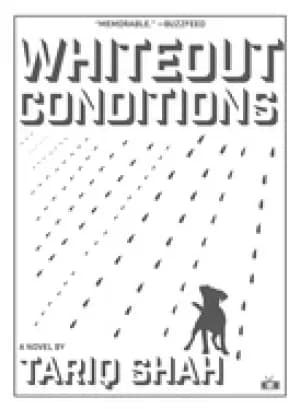 whiteout conditions