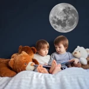 EZO043 Grey Decorative Wall Sticker