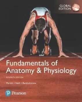 Fundamentals of Anatomy & Physiology, Global by Frederic Martini