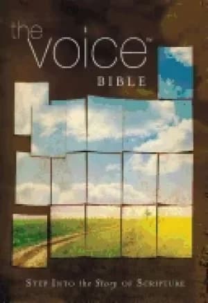 voice bible hardcover step into the story of scripture