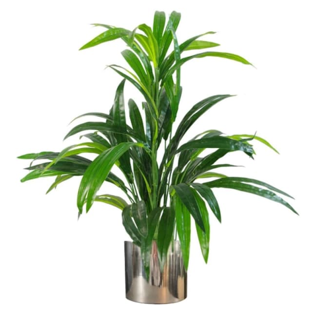 Leaf 65cm Artificial Large Leaf Bamboo Shrub Plant with Silver Metal Planter Green