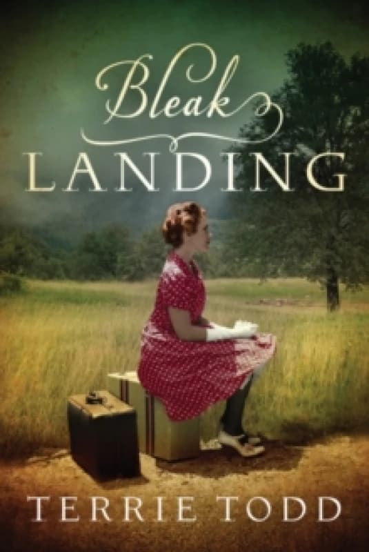 Bleak Landing Paperback / softback