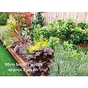 Garden On A Roll Mixed Sunny Border Pack 10m x 60cm Plants