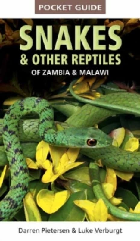 Pocket Guide to Snakes & Other Reptiles of Zambia and Malawi Paperback / softback