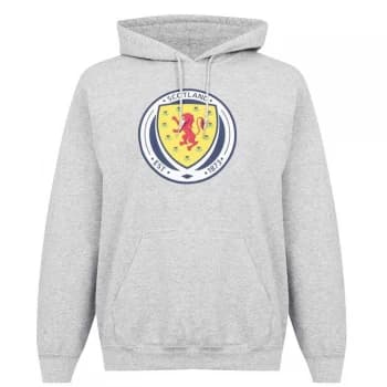 Source Lab Logo Over The Head Scotland Hoodie - Grey
