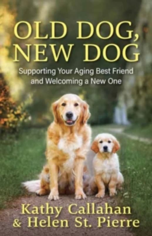 Old Dog, New Dog : A Guide to Supporting Your Aging Best Friend and Welcoming a New One Paperback / softback