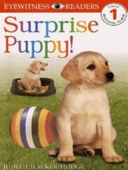 Surprise Puppy by Judith Walker-Hodge Book