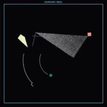 Disappears - Irreal Vinyl