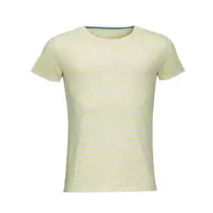 SOLS Mens Miles Striped Short Sleeve T-Shirt (L) (Ash/Lemon)