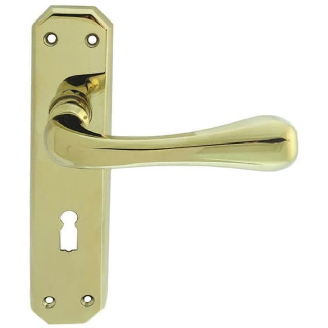 Loops PAIR Heavy Duty Handle on Angular Lock Backplate 180 x 40mm Stainless Brass Metallics