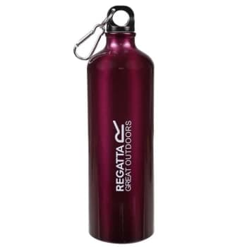 Regatta 1l Aluminium Bottle - Azalia