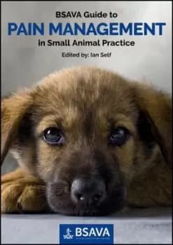 BSAVA guide to pain management in small animal practice by Ian Self