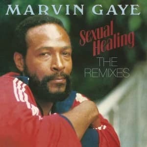 Marvin Gaye - Sexual Healing - The Remixes Vinyl