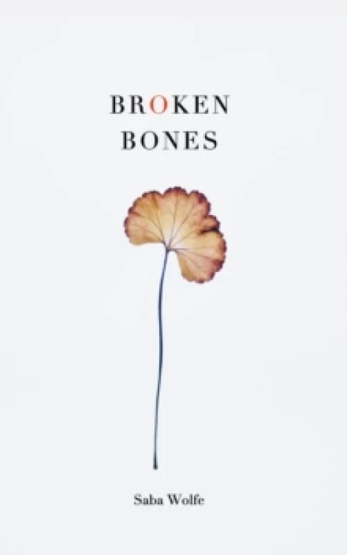 Broken Bones Paperback / softback