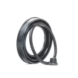 RIDEX Brake Caliper Repair Kit 405R0011 Caliper Repair Kit,Brake Caliper Rebuild Kit FORD,FIAT,LANCIA,KA (RU8),PANDA (169),500 (312),PUNTO (188)