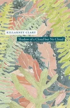 Shadow of a Cloud but No Cloud by Killarney Clary Book