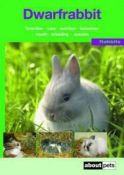 The Dwarf Rabbit Paperback