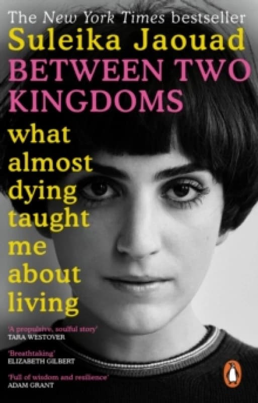 Between Two Kingdoms : What almost dying taught me about living Paperback / softback