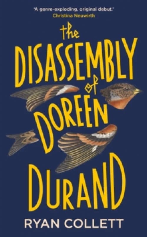 The Disassembly of Doreen Durand Hardback