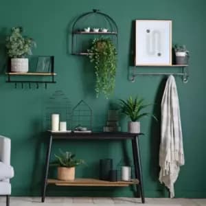 Crossland Grove Hanging Philodendron Bush H480X105Mm