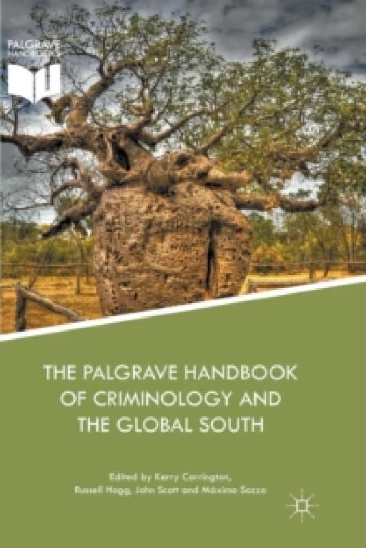 The Palgrave Handbook of Criminology and the Global South Paperback / softback