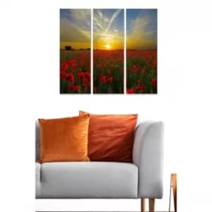 MDF815270 Multicolor Decorative MDF Painting (3 Pieces)