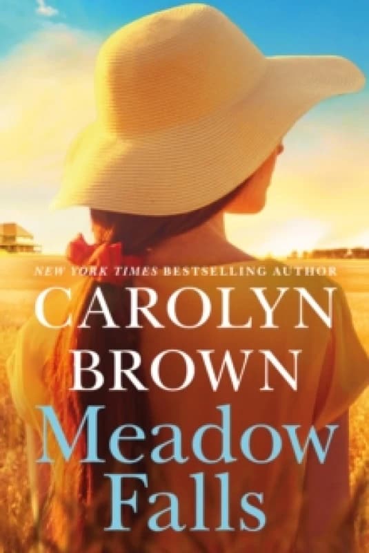 Meadow Falls Paperback / softback